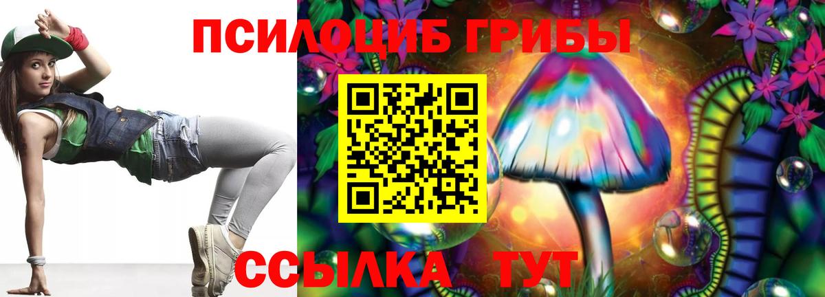 Псилоцибиновые грибы ЛСД  Вход с VPN  Псилоцибиновые грибы GOLDEN TEACHER  Кизилюрт 