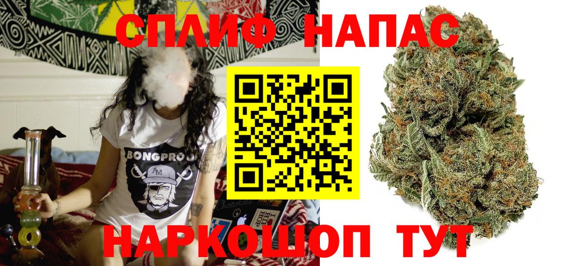 Бошки марихуана планчик  Шишки марихуана конопля  Марихуана план  Вход с VPN  МАРИХУАНА гибрид  Кизилюрт 